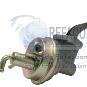CAN-41201 BOMBA GAS BUICK 77-81