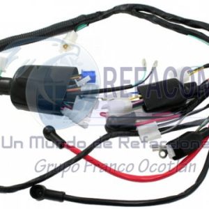 ARN-3201-007 ARNES COMPLETO FT-110