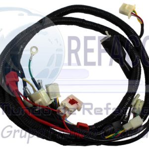 ARN-3201-021 ARNES COMPLETO PRINCIPAL GS-150  10-13/GTS-175 10-