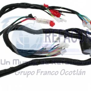 ARN-3201-023 ARNES COMPLETO WS150/WS175/BWS125