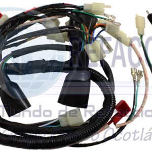 ARN-3201-034 ARNES COMPLETO DM150