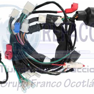 ARN-3201-034B ARNES COMPLETO DM150 ROJA 18-21