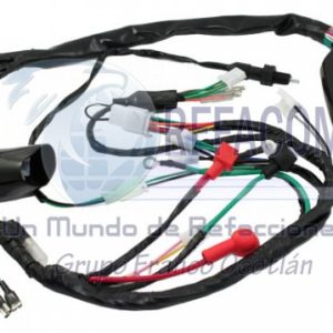 ARN-3201-035 ARNES COMPLETO DM200