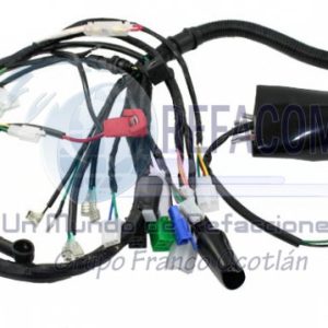 ARN-3201-041 ARNES COMPLETO FT180/FT-200