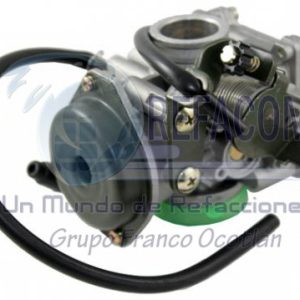 CAR-2110-0031 CARBURADOR COMPLETO DISCOVER 135