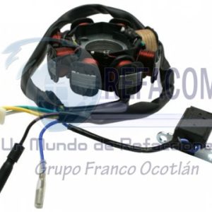 EST-3102-0006 ESTATOR 8 BOBINAS MOTONETA CS125/DS125/DS150/WS150