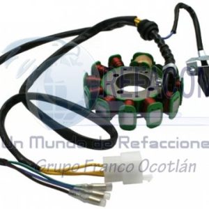 EST-3102-0010 ESTATOR 11 BOBINAS ITALIKA TX200