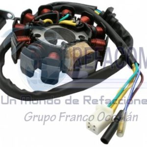 EST-3102-0011 ESTATOR 11 BOBINAS MOTONETA ITALIKA TS170
