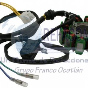 EST-3102-0016A ESTATOR 12 BOBINAS CORR. CONTINUA ITALIKA EX200