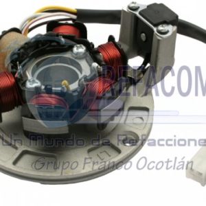EST-3102-0020 ESTATOR C/BASE ITALIKA FT110