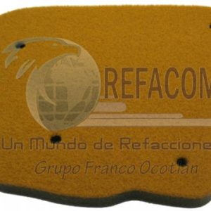 FIL-2600-0006 FILTRO AIRE BWS100 GRAN AXIS