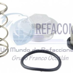 TAP-2602-0011 TAPON KIT DRENADO C/RING CS-125/DS-125/WS150/DS150