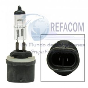 880 FOCO HAL. LINEA FORD,CHEVR. BASE RECTA