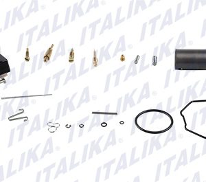 E01020017 CARBURADOR JGO FT180,RT180
