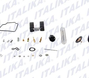 E01020020 CARBURADOR JGO DS150,DS150 NEGRO,GS150,GS150