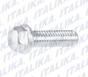 E02040031 TORNILLO 6M*20 125Z, AT110 NR, DT150 DELIVERY, FT1