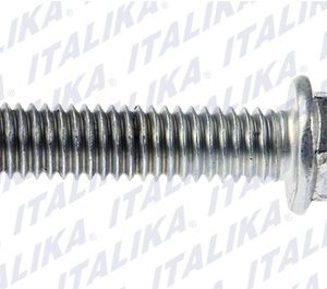 E02040116 TORNILLO M6X25 125FL, 125FLPL