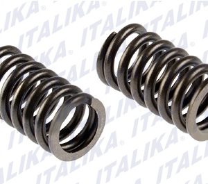 E04040209 RESORTE VALVULA INT DM125,ZDM200,DM200 SPORT