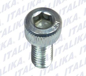 E05030059 TORNILLO M5X10 VX250