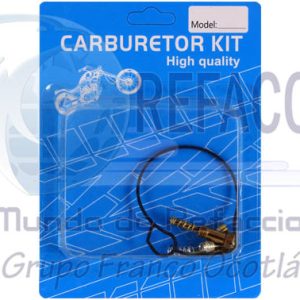 ENA1960000020P REP. CARBURADOR BWS-125