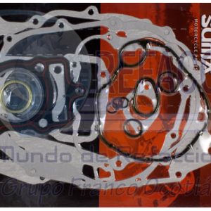 ENA2010000145P EMPAQUE MOTOR CARGO125