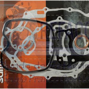 ENEMP-6505-041 EMPAQUE JGO COMPLETO MOTOR HONDA C/SELLOS,RETENES