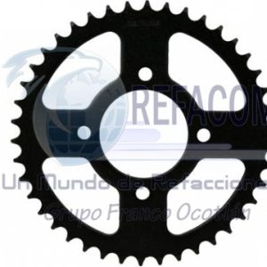 ENENG-1505-1011 ENGRANE TRACCION TRAS SUZUKI GS-125 42T