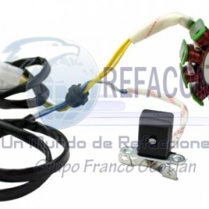 ENEST-3102-0016A ESTATOR 12 BOBINAS CORR. CONTINUA ITALIKA EX200