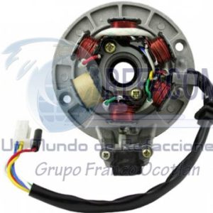 ENEST-3102-0020 ESTATOR C/BASE ITALIKA FT110