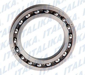F15040220 BALERO BOLA RADIAL 16013 ATV250 CON REVERSA,ATV25