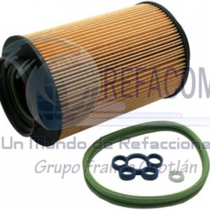 FGI-300 FILTRO GAS BORA TDI 06-10 4CIL 1.9L =FGI-300D