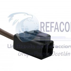 GM-012 ARNES PORTACARBON DELCO                 =ARNES-DR