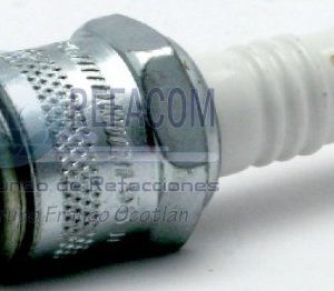 J18YC BUJIA CHAMPION